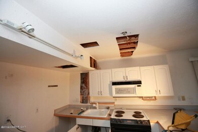 lower level kitchen