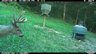 14912 Illinois 96, Nebo, IL 62355 - photo 6