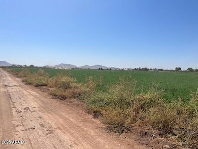 20250204192707139696000000-o