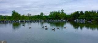 100 Forget me Not Dr, White Post, VA 22663 - photo 7