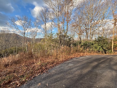 2.02 AC Viewforth Place, Topton, NC 28781 - photo 4