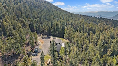 33884 Bergen View Trail unit 197153, Evergreen, CO 80439 - photo 7