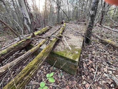 790-00918-000 Marion County 8057, Yellville, AR 72687 - photo 7