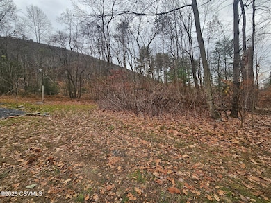 16 Spring Water Blvd, Brandonville, PA 17967 - photo 3