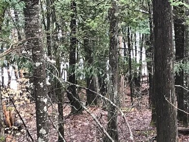Bear Point Rd Lot 2