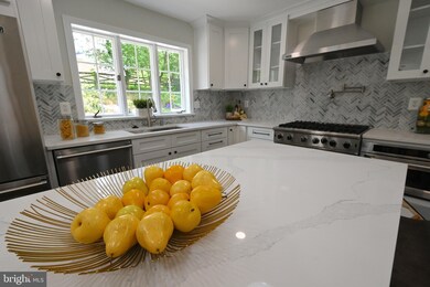 912 Rail Ct, McLean, VA 22102 - photo 3