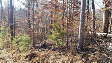 Bordered with trees
