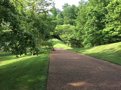 5316 Old Harding Rd, Franklin, TN 37064 - photo 7