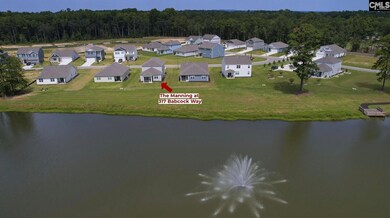 317 Babcock Way, Gilbert, SC 29054 - photo 2