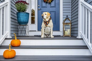 Awe... meet Maggie. She's waiting for you!
