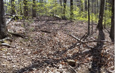 Additional View