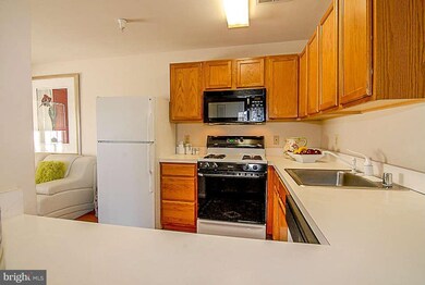 9111 Gracious End Ct unit 301, Columbia, MD 21046 - photo 4