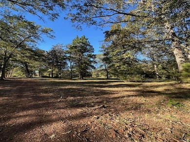 10695 Magnolia Dr, Conroe, TX 77303 - photo 6