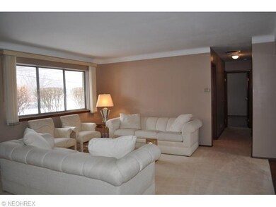 Light Filled Rooms With Neutral Decor