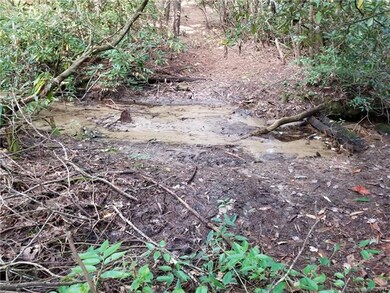 Pathway that comes down to the crossing at Sugar C