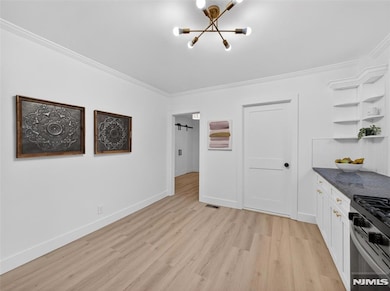 114 Colony Ave unit 1, Park Ridge, NJ 07656 - photo 7