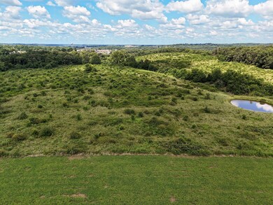 Tract 5 E Hawkins Ct, Ozark, MO 65721 - photo 4