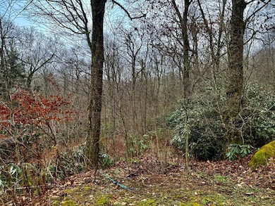 0 Satulah Ridge Rd unit 26042836, Highlands, NC 28741 - photo 7