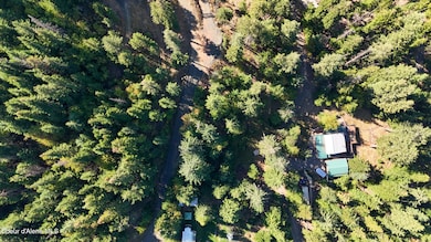 783 E Cliff View Dr, Harrison, ID 83833 - photo 6