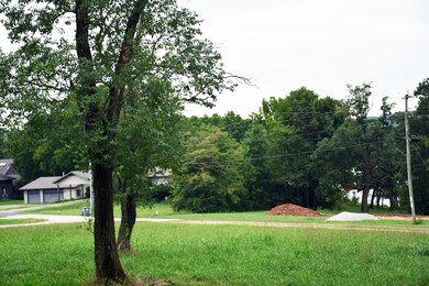 DSC_0690
