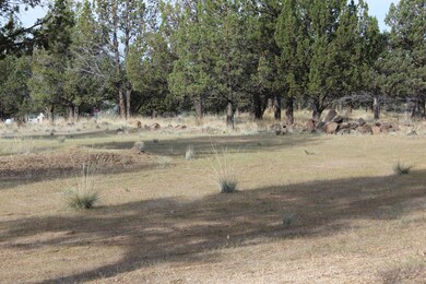 11800YuccaFlats005