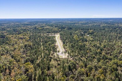 135 Beagle Chase Dr, Appling, GA 30802 - photo 7