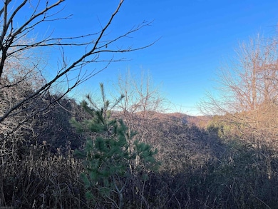 TBD River View Ln, Hiwassee, VA 24347 - photo 4