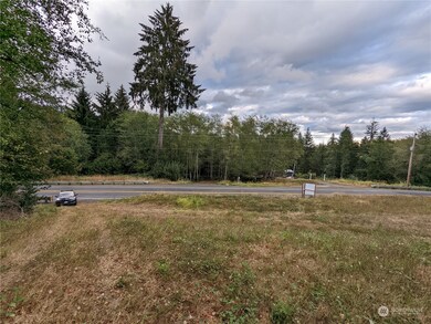 290 State Rt 6, Raymond, WA 98577 - photo 3