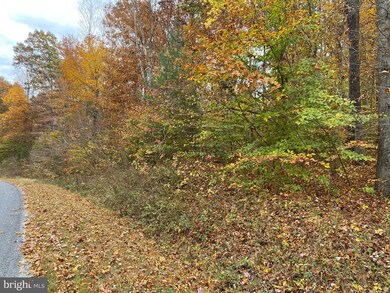 17134 Arrow Point Dr, Orange, VA 22960 - photo 3