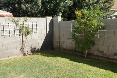 DSC07098-back yard 3