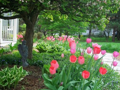 103 John St, Shelburne, VT 05482 - photo 2