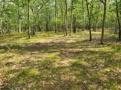 00 N Beaver Trail, Lilley Township, MI 49309 - photo 2