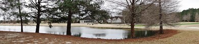 Golf and Pond Pan View