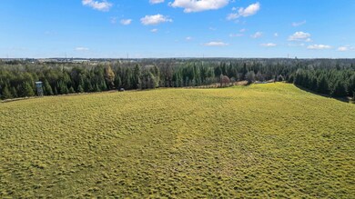 Lot 1 & 2 Maple Ln, Grant, WI 54486 - photo 5