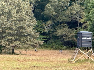 0 Moore Rd, Bolivar, TN 38008 - photo 2