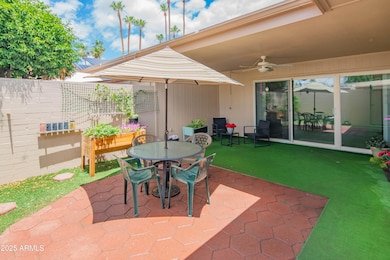 Relaxing Back Patio