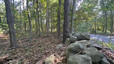 TBD Frost Hill Rd, York, ME 03909 - photo 7