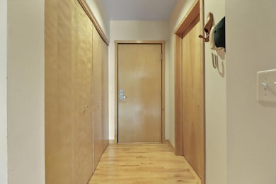 5-web-or-mls-311 E Erie St Unit 224, Mil