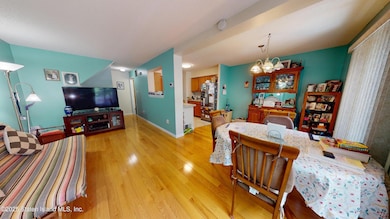 235 Ilyssa Way, Staten Island, NY 10312 - photo 5