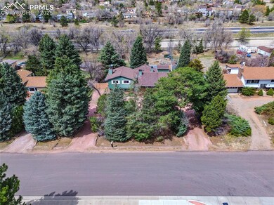 Mature Trees Provide Privacy from the Street