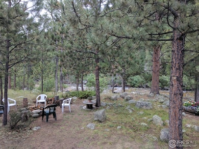 250 Riverside Dr, Bellvue, CO 80512 - photo 3