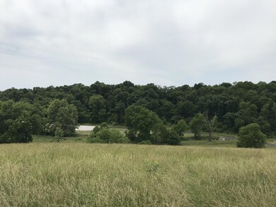 IMG_5323