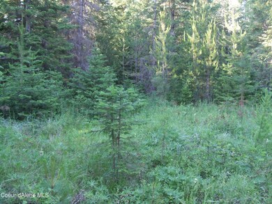 0 N Nikkoma Rd, Rathdrum, ID 83858 - photo 7