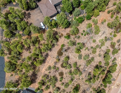 DJI_20250609124559_0460_D_AuroraHDR2019-