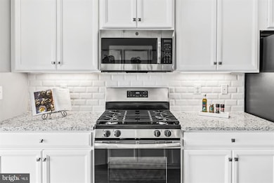 0 Kloman St unit MOZART 4 STORY, Baltimore, MD 21230 - photo 5