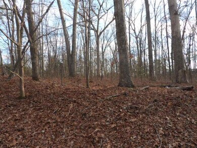 117 Shannon Dr, Pendleton, SC 29670 - photo 3