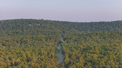 7 Moonshine Dr, Clayton, OK 74536 - photo 6