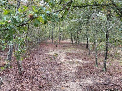 Beautiful mix of oaks