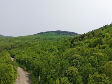 DJI_20250604105828_0013_D