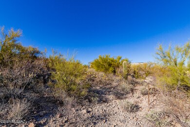 0008-Tohono Crossing 8